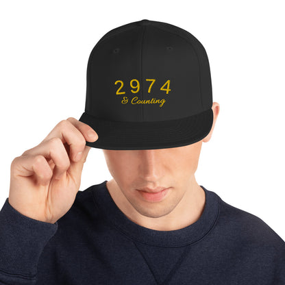 2974 And Counting Snapback Hat, Stephen Curry Embroidered Hat