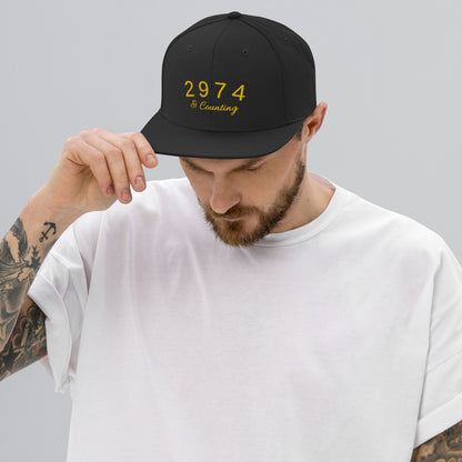 2974 And Counting Snapback Hat, Stephen Curry Embroidered Hat