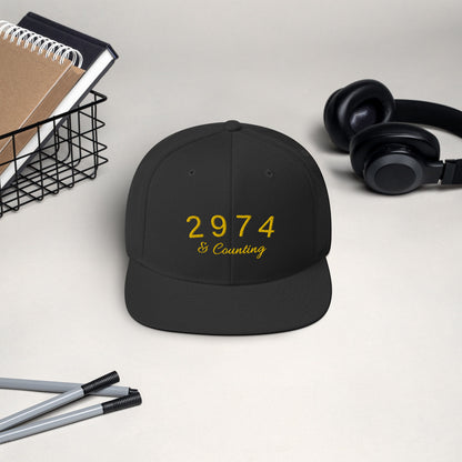 2974 And Counting Snapback Hat, Stephen Curry Embroidered Hat