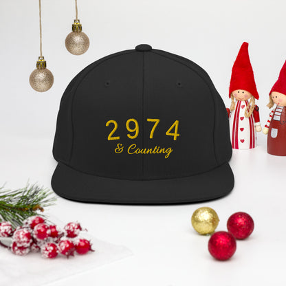 2974 And Counting Snapback Hat, Stephen Curry Embroidered Hat