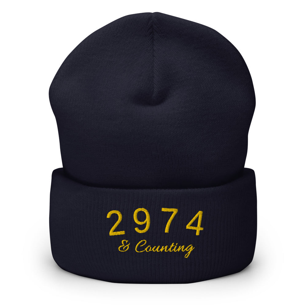 2974 And Counting Cuffed Beanie, Stephen Curry Embroidered Knit Hat