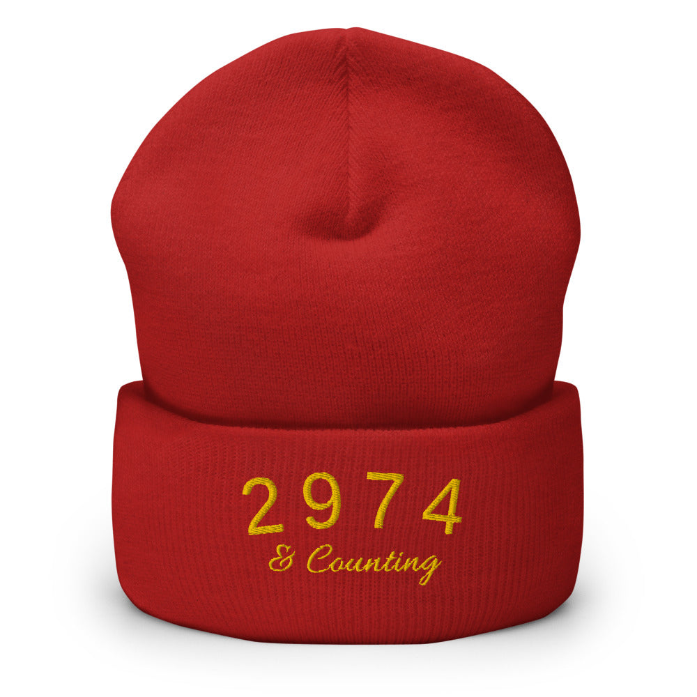 2974 And Counting Cuffed Beanie, Stephen Curry Embroidered Knit Hat